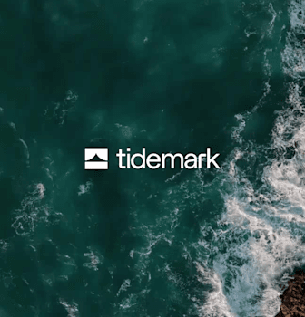 Tidemark on AI-native software
